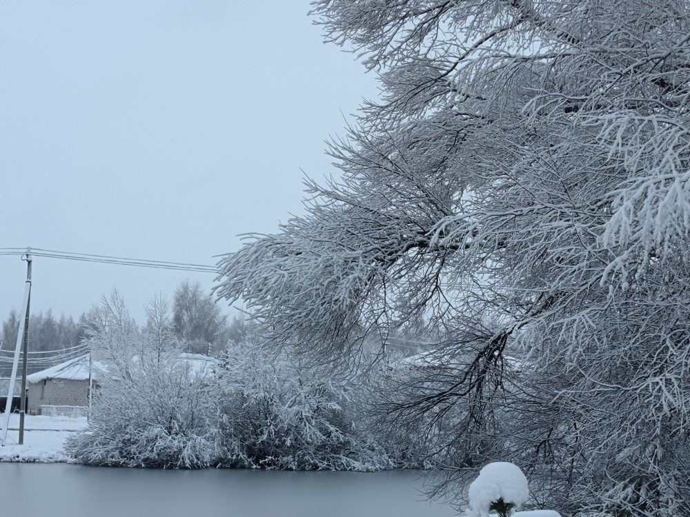 Photo #11490409