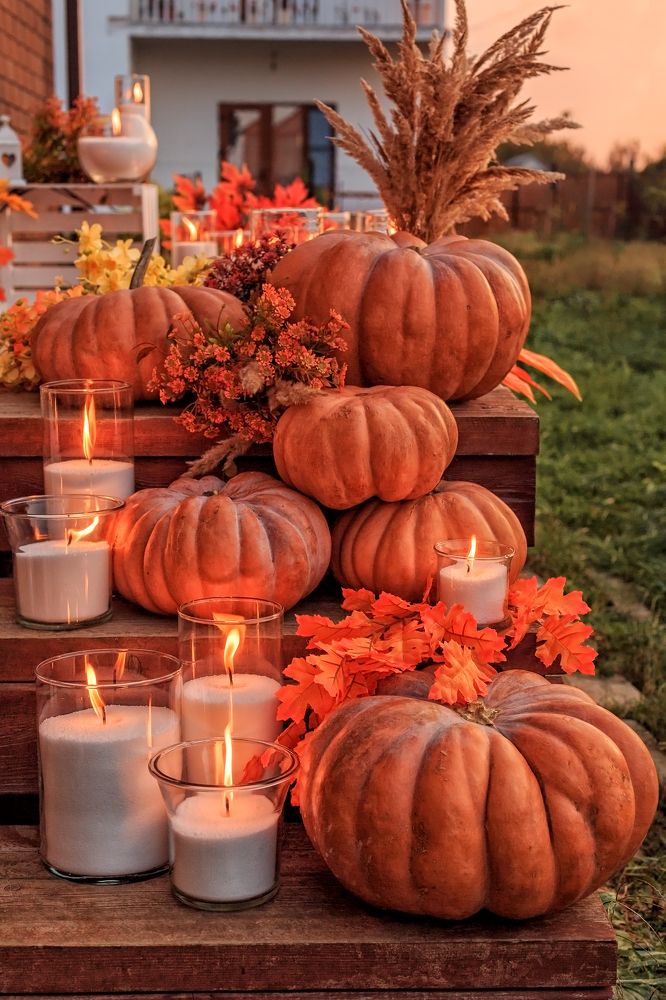 Фотография автора Галина Шепелева