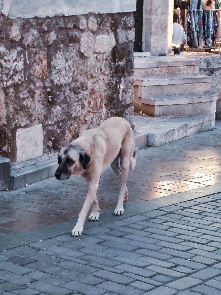 Турецкие улочки