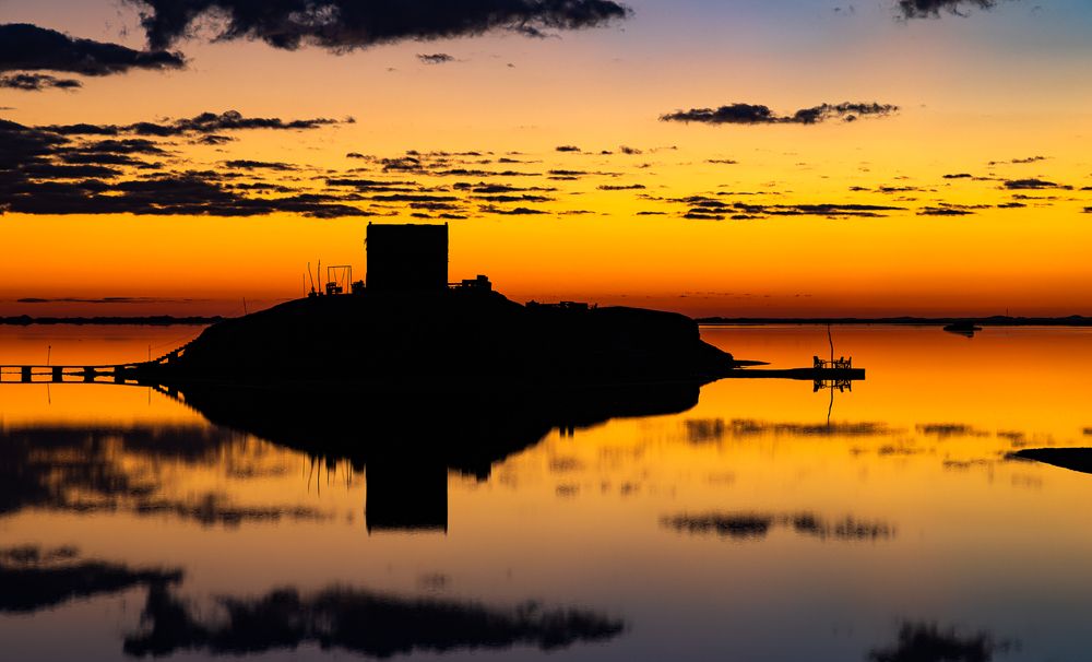 Photograph by Alaa Nour