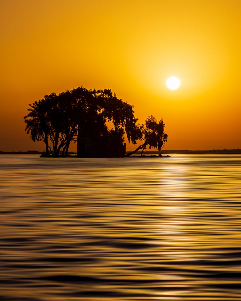 Photograph by Alaa Nour