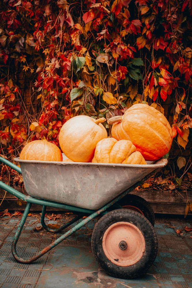 Photograph by Владимир Баженов