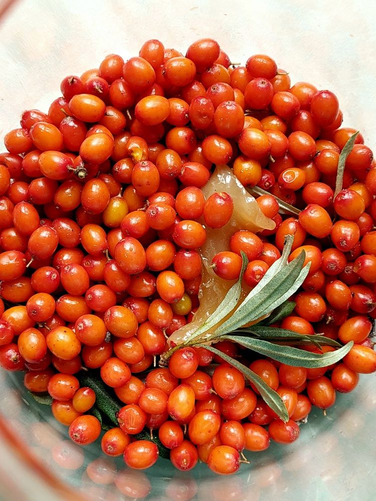 Фотография автора Анастасия Куликова