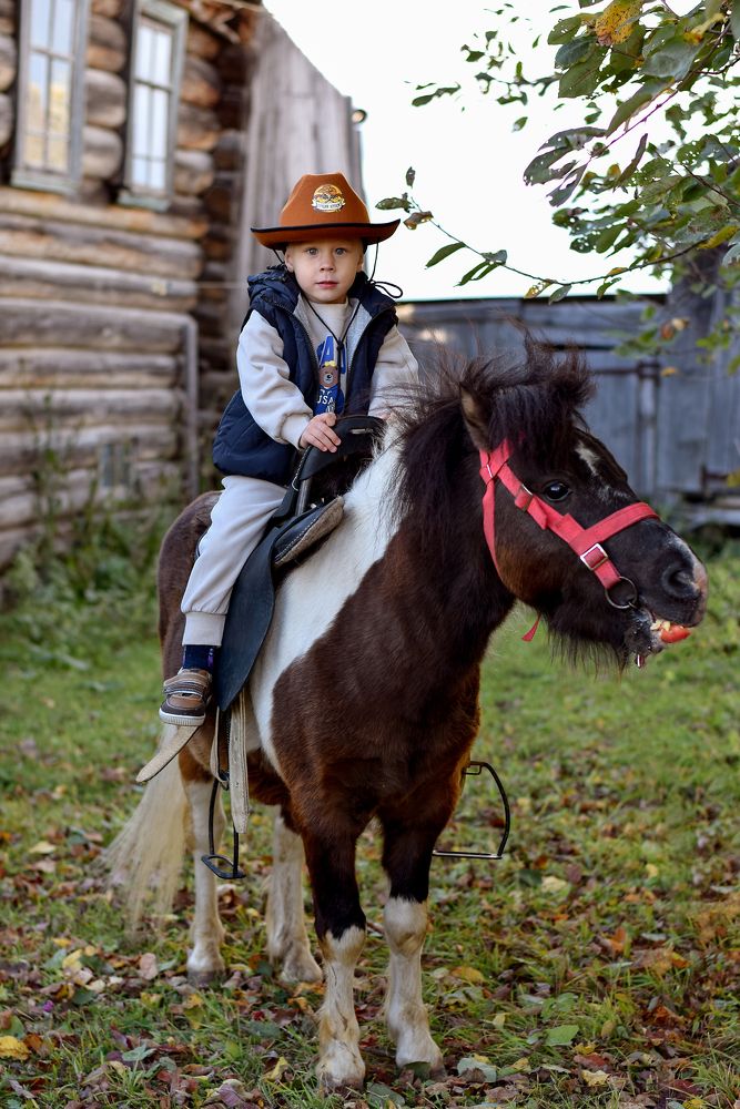 Фотография автора Оксана Льдинина