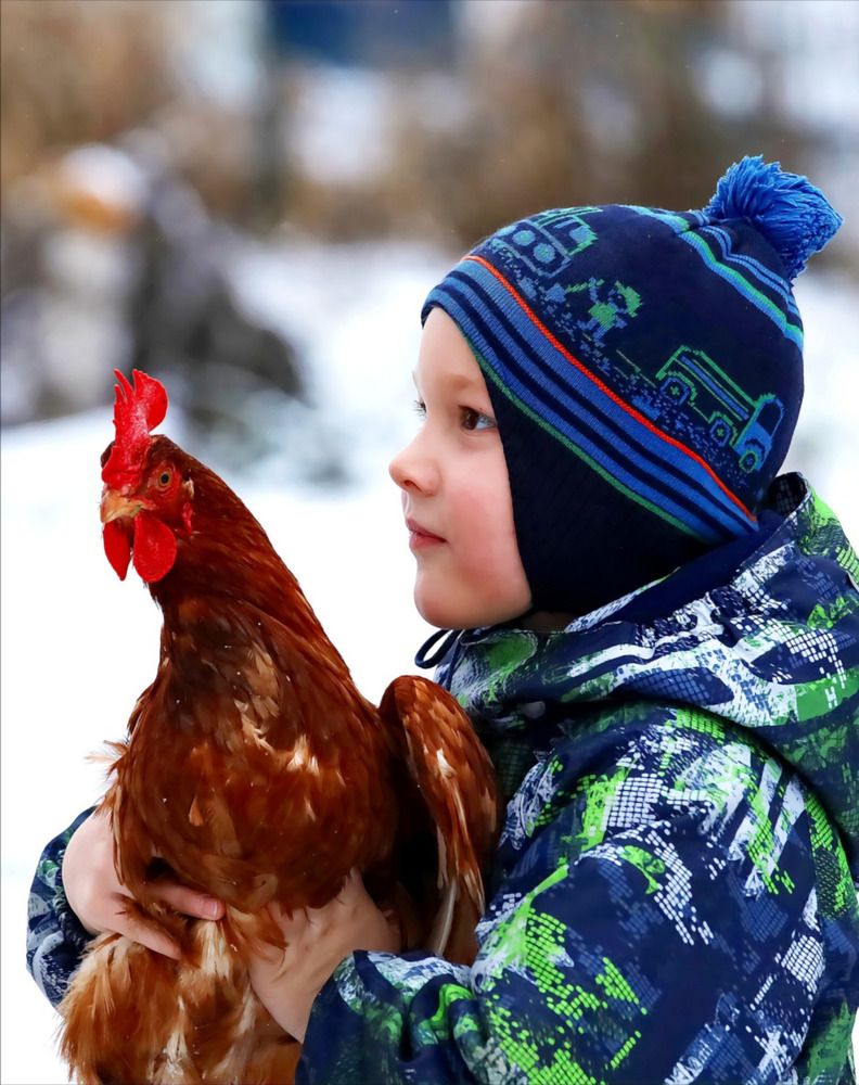 Photograph by Татьяна Слесарева