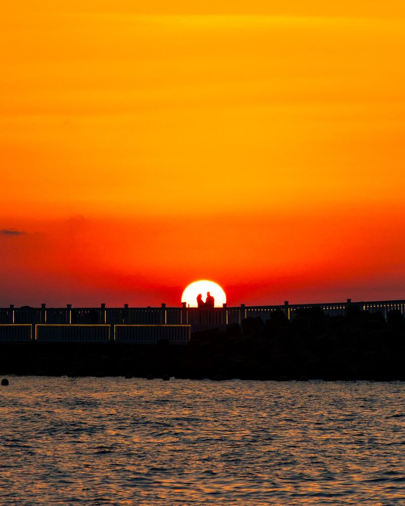 Photograph by Alaa Nour