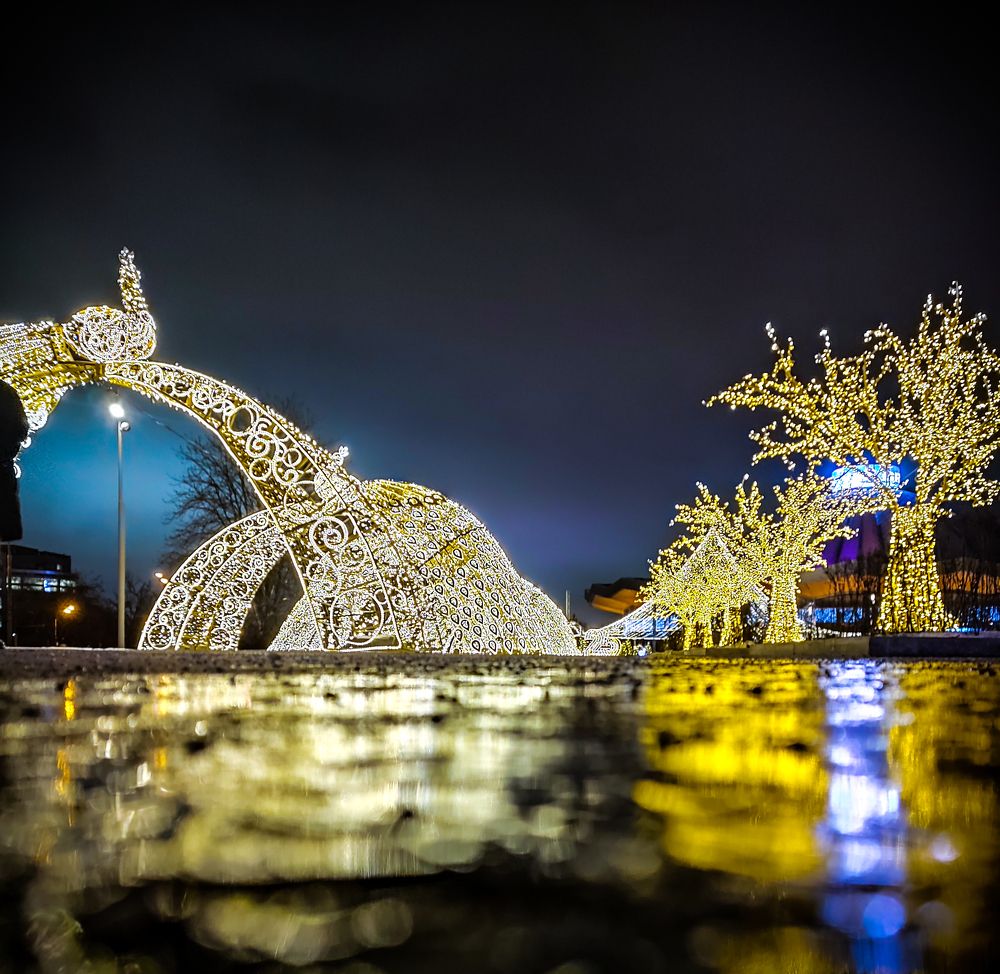 Photograph by Алексей Лазарев