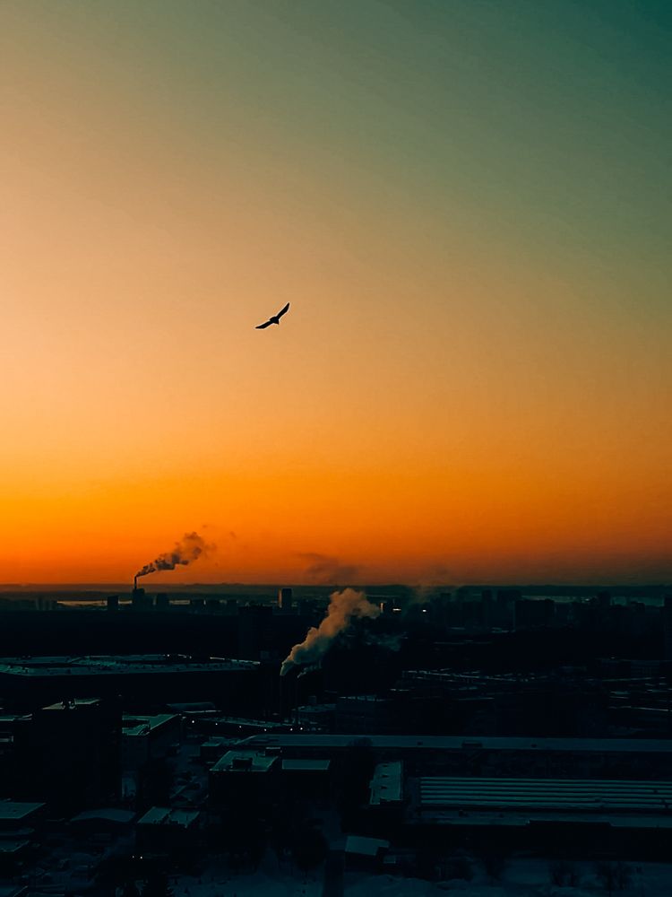 Фотография автора Юлия Осетрова