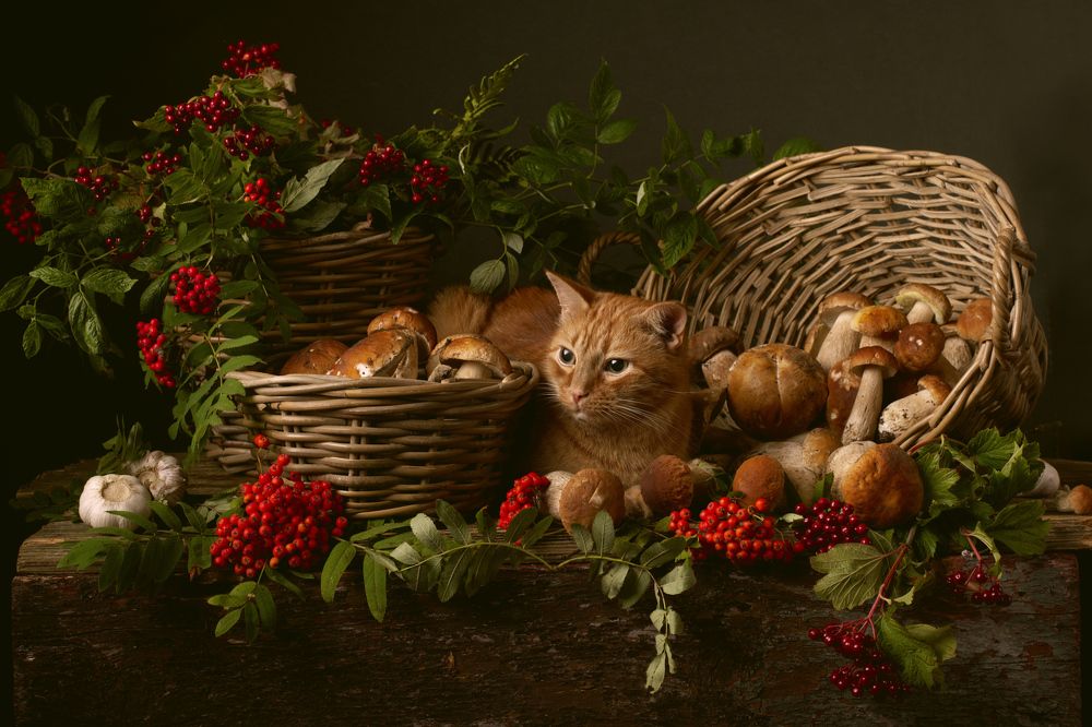 Фотография автора Марина Красовская