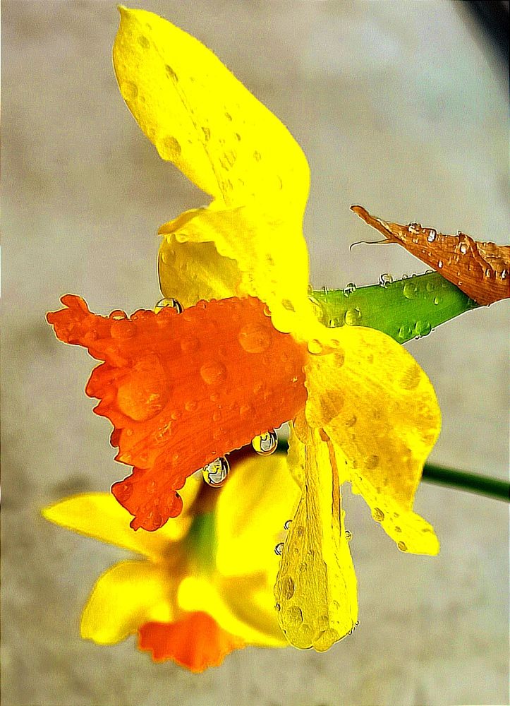 Photograph by Ольга Тихонова