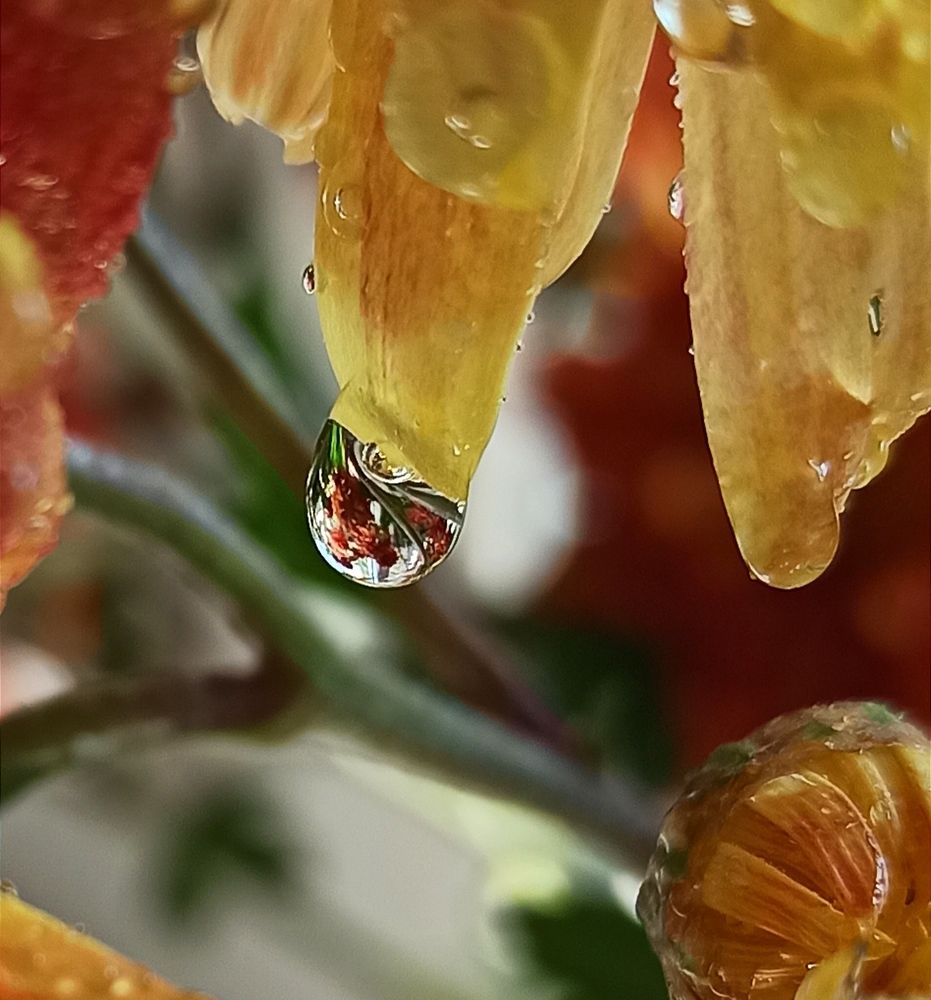 Photograph by Ольга Тихонова