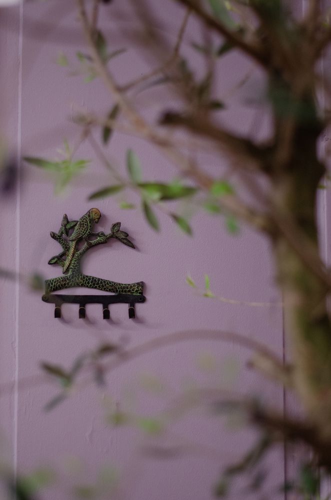 Фотография автора Евгения Кобеева