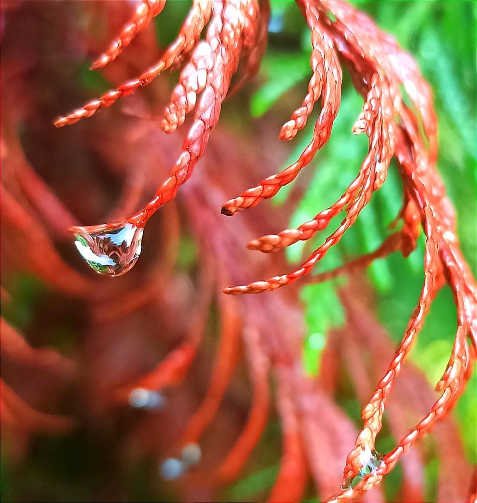 Photograph by Ольга Тихонова