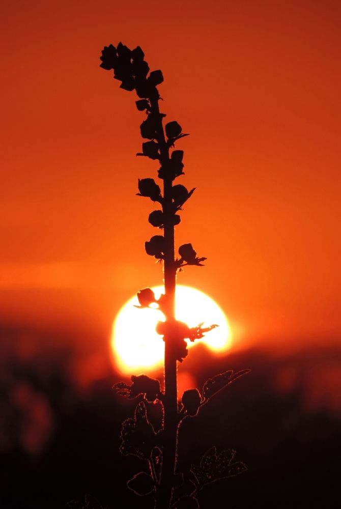 Photograph by Мария Широких