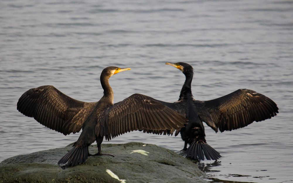 Photograph by Mathew Nishanth A