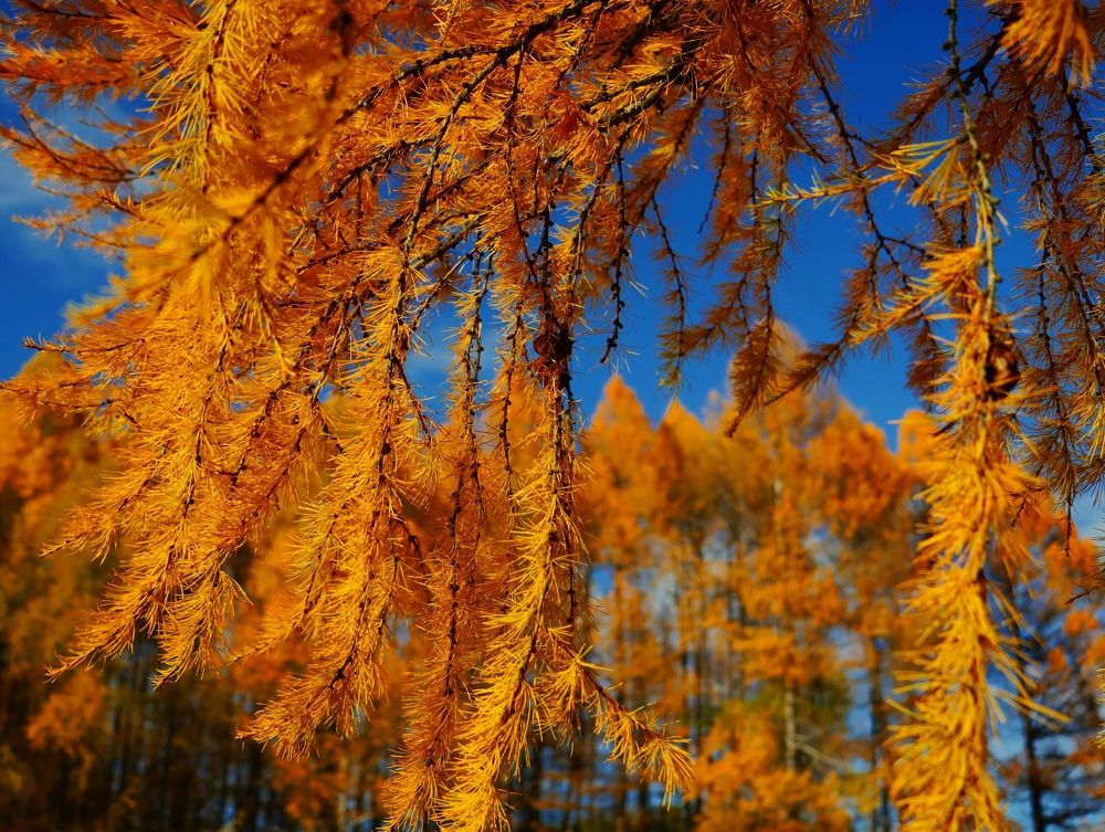 Photograph by Серёга Ануфриев