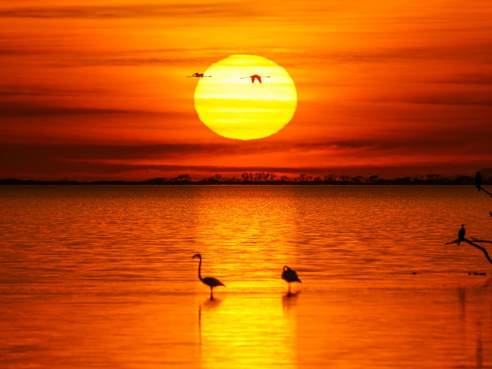 Фотография автора Оксана Дорн