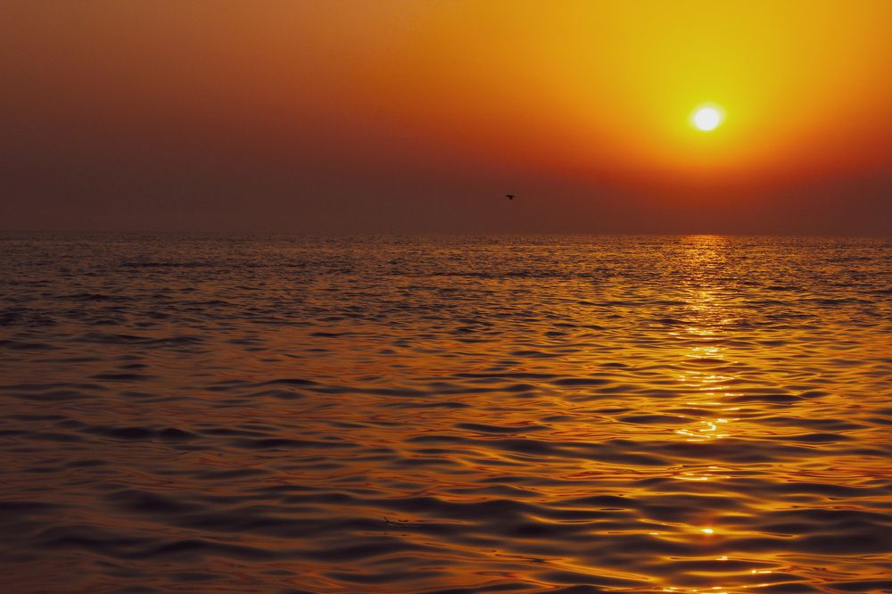 Фотография автора Татьяна Сергиенко