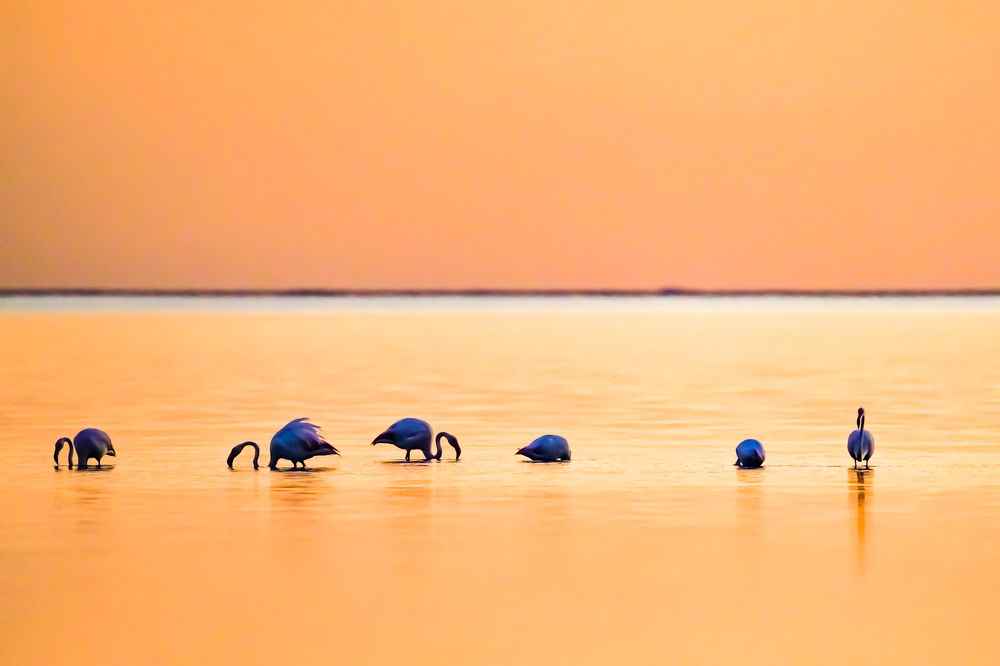 Фотография автора Оксана Дорн