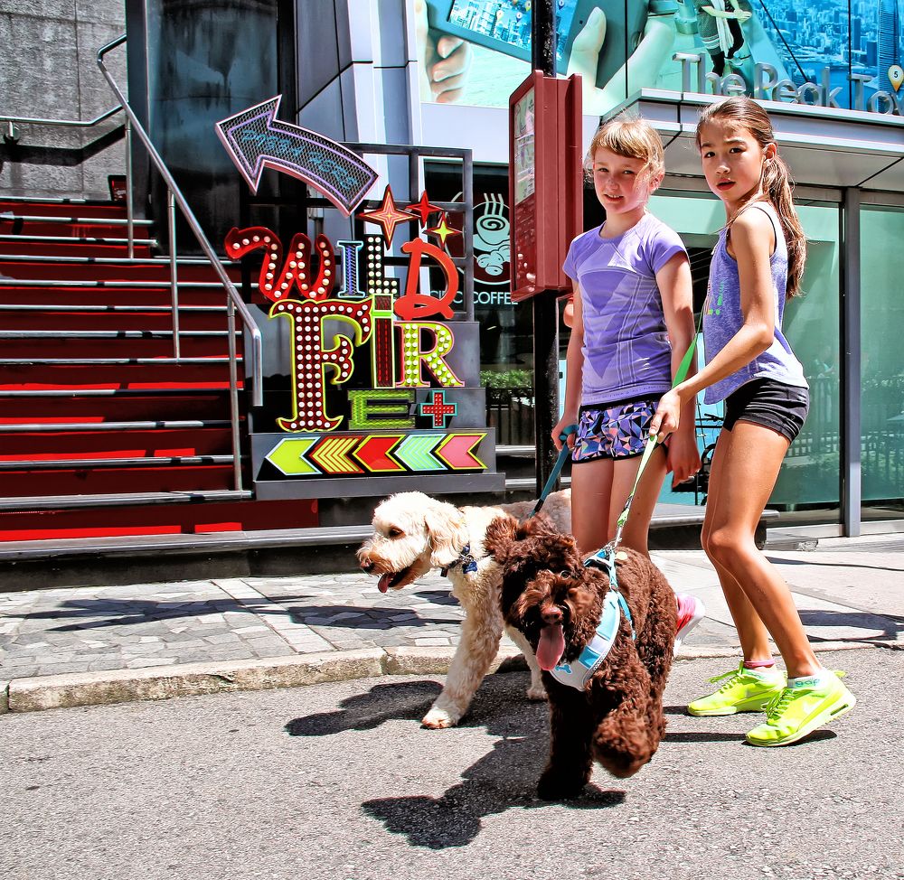 Фотография автора Елена Лаврова