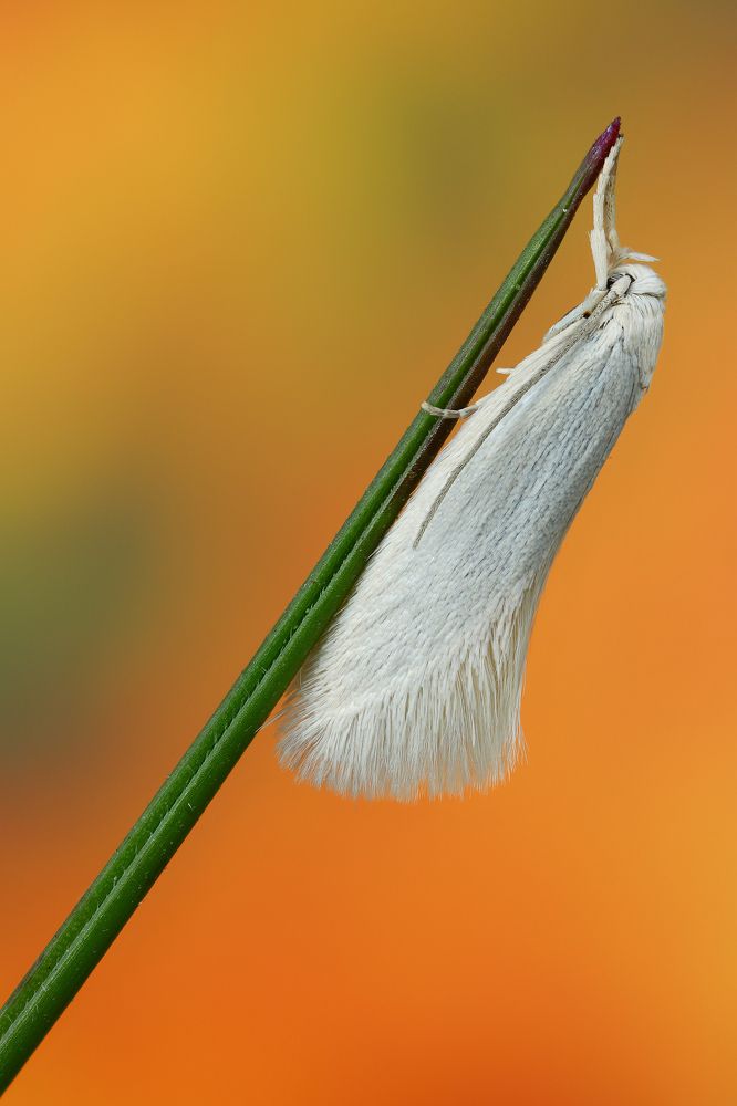 Фотография автора Андрей Шаповалов