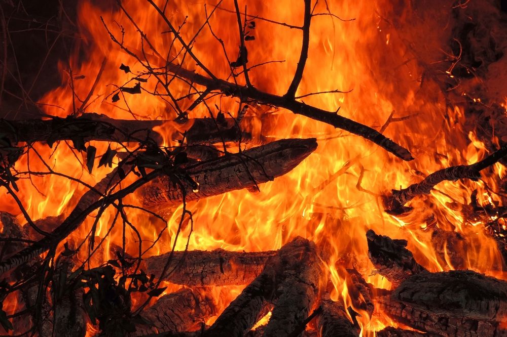 Photograph by Мария Широких