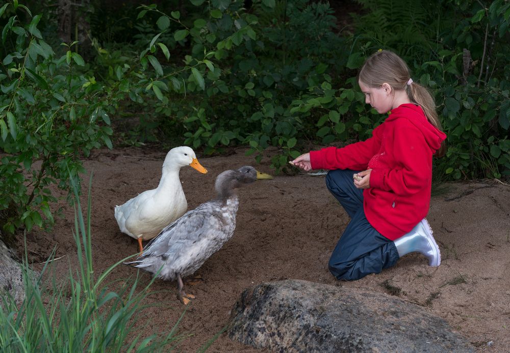 Photograph by Валерий Одинцов