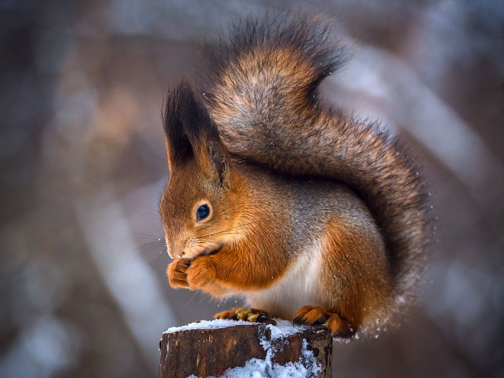 Photograph by Сергей Алексеев