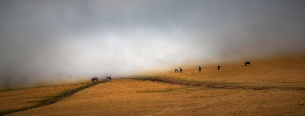 Photograph by AndGenn