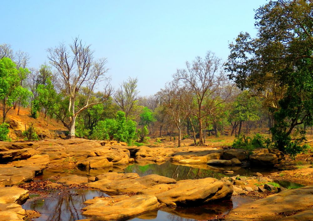 Photograph by SUCCESS LOVER