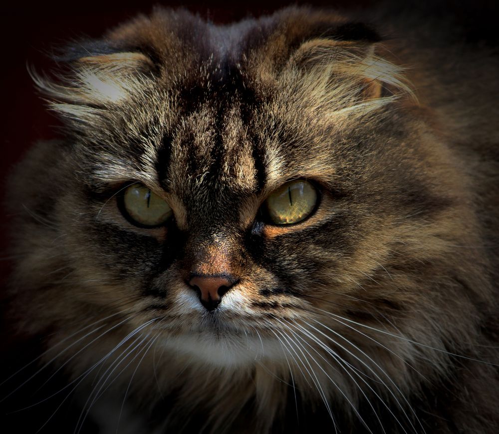 Photograph by Зоя Быкова