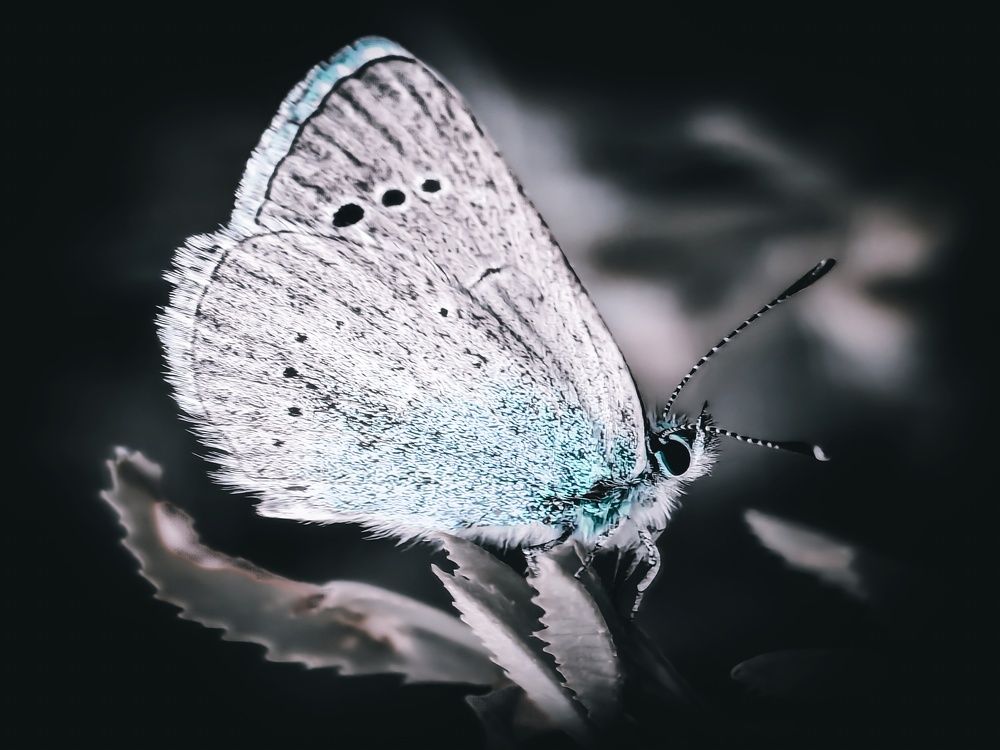 Photograph by Yuliya Karpova