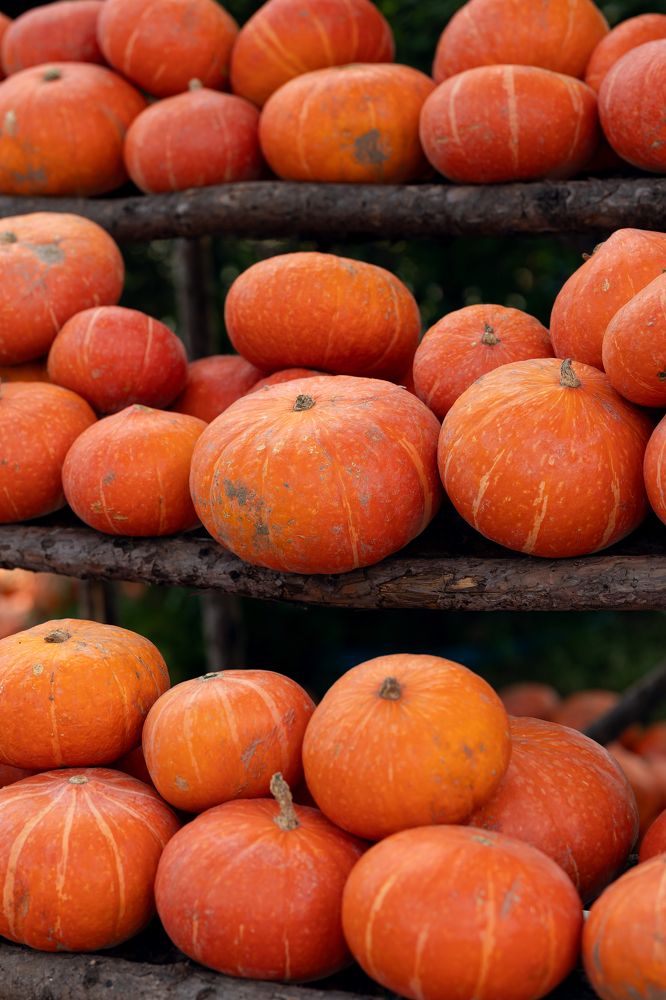 Фотография автора Alina Efimova