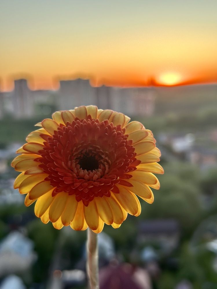 Фотография автора Галкина Екатерина