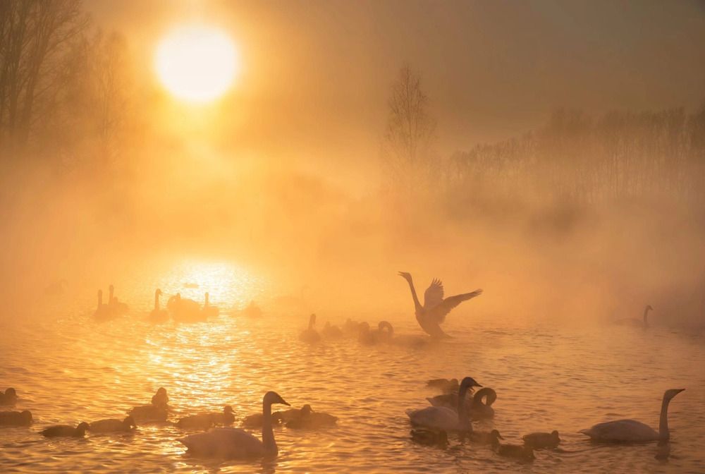 Photograph by Ольга Фесак