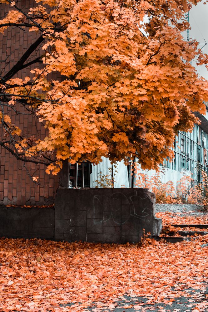 Photograph by Дмитрий Тютюнник