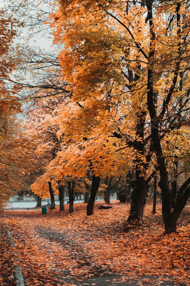 Photograph by Дмитрий Тютюнник