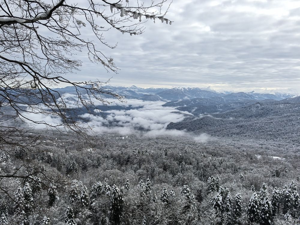 Photograph by Елизавета Зыкова