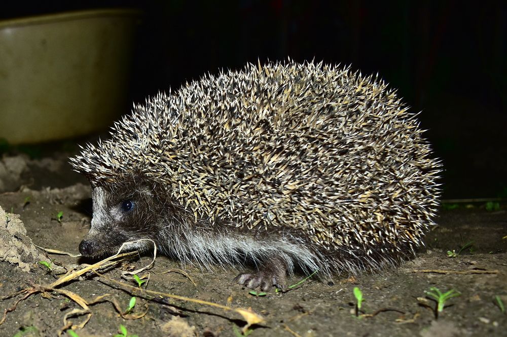 Photograph by Николай Абакумов