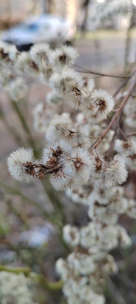 Photograph by Marina Savenko