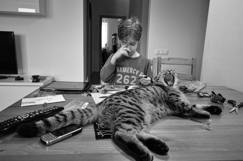 Фотография автора Ковяк Сергей Васильевич