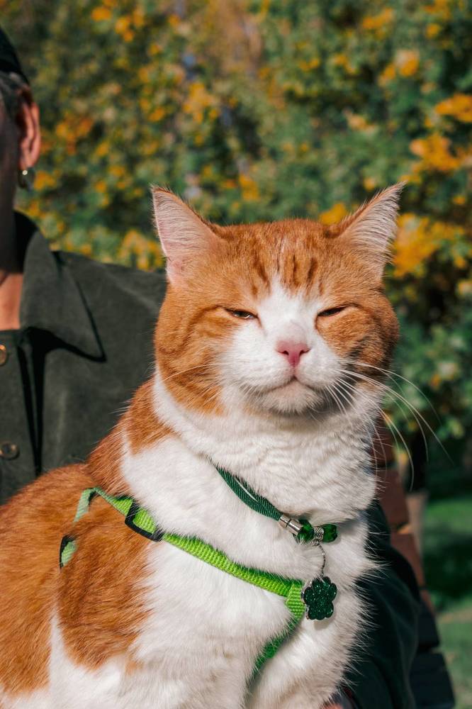 Photograph by Kanat Amre