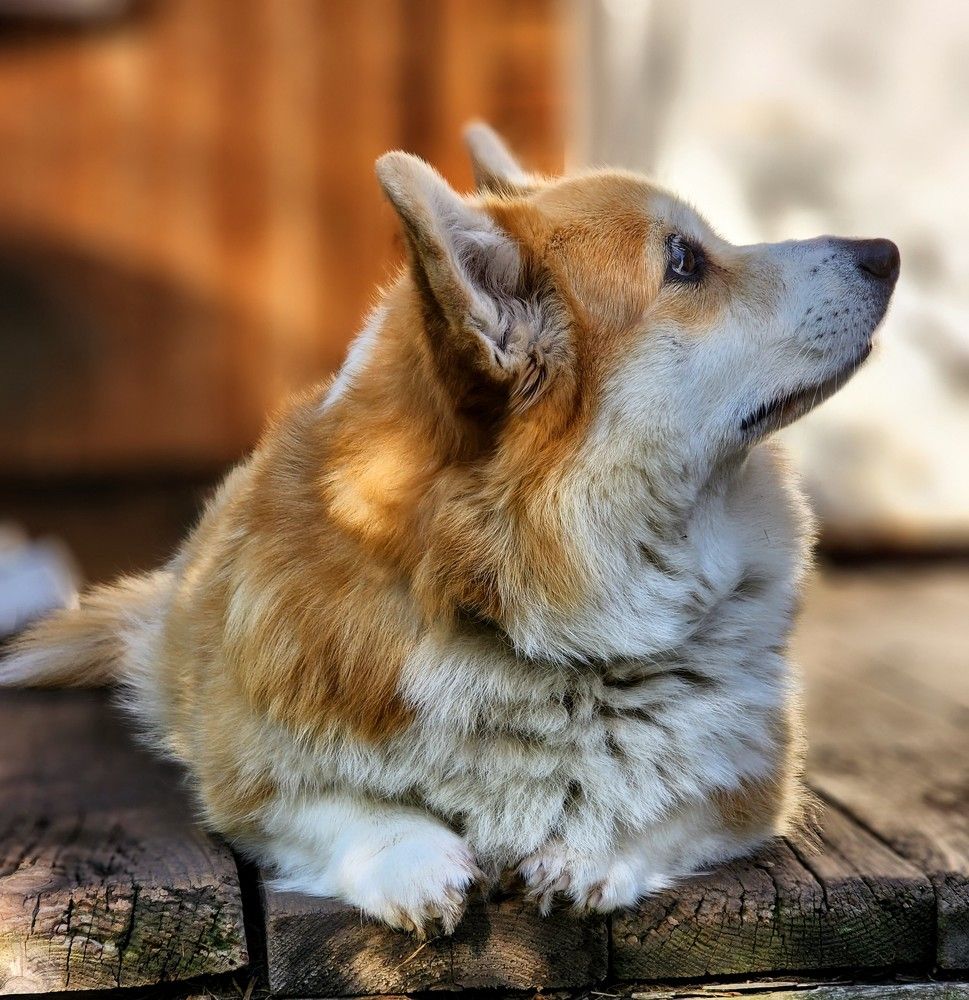 Photograph by Надежда Кудрявцева