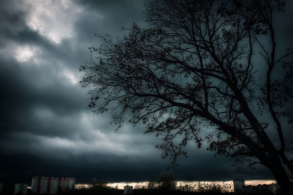 Photograph by 