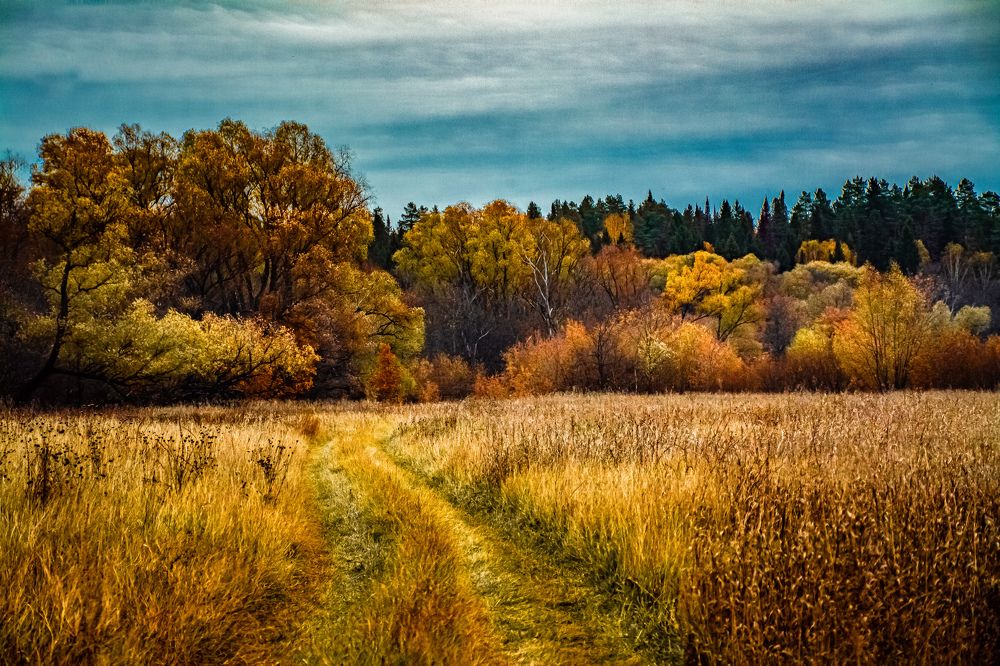 Photograph by Людмила Баймухаметова