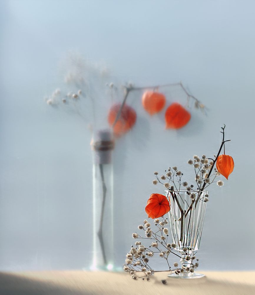 Photograph by Заболотская Ольга