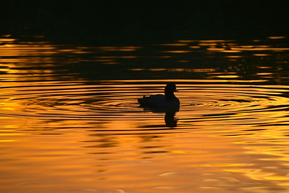Photograph by Виолетта Клюева