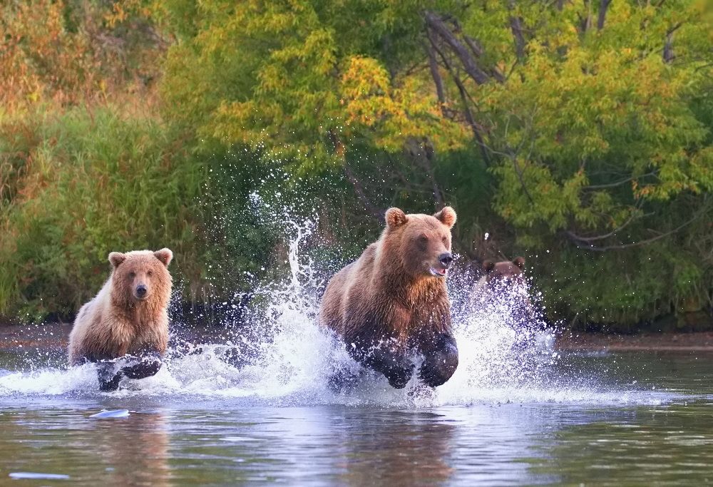 Photograph by Ольга Одаренко