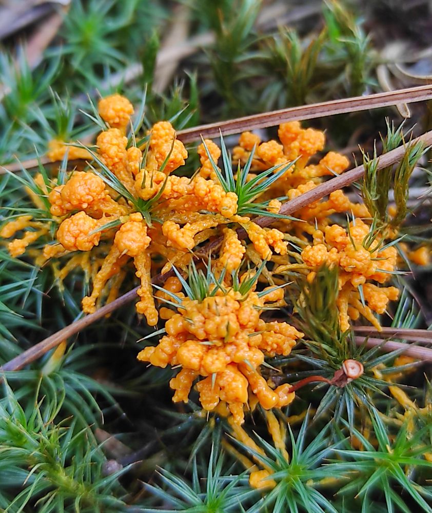 Photograph by Виолетта Клюева