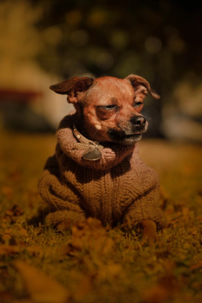 Photograph by Мария Лавриненко